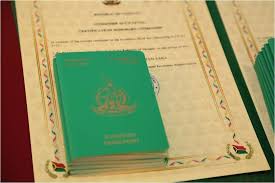 Understanding the Cost of Vanuatu Citizenship A Comprehensive Guide 898170393