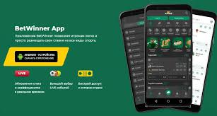 BetWinner Your Ultimate Betting Experience in Kyrgyzstan -859065948