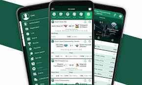 Experience the Excitement of Betting with the BetWinner Mobile App